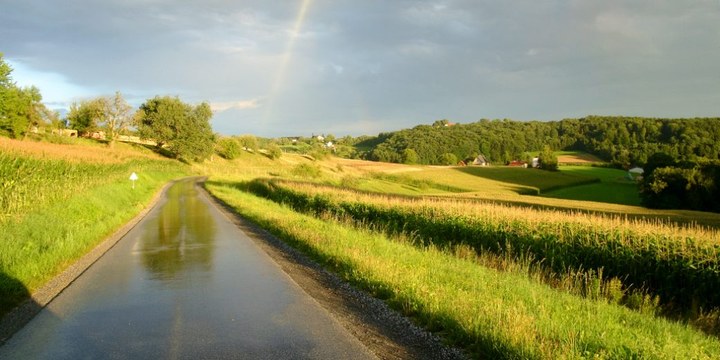 Cambium · Leben in Gemeinschaft