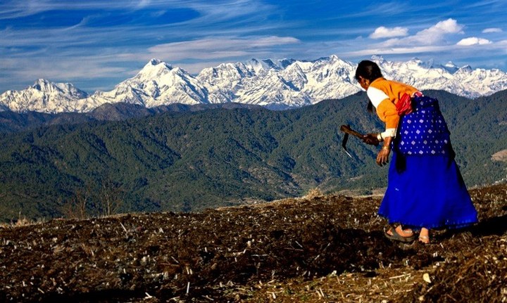 Vrikshalaya Himalaya Center