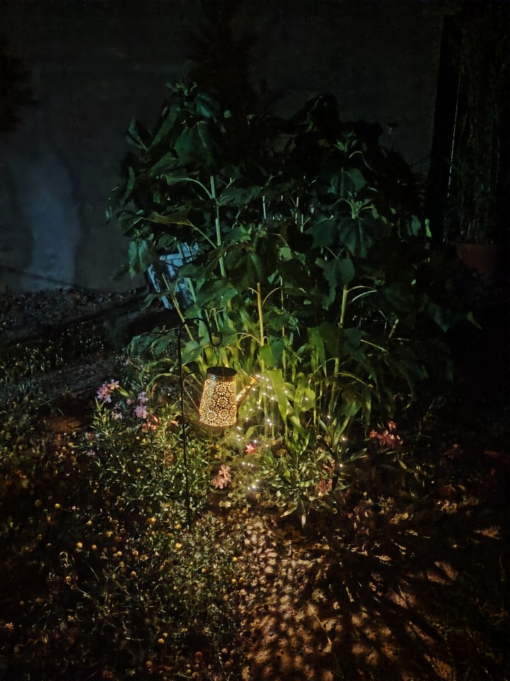 The Guild of the White Lotus